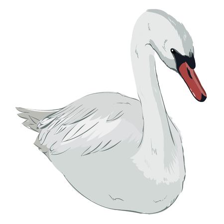cute lovely princess swan, vector, illustrationの写真素材