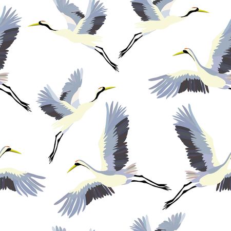 crane, pattern, vector, illustrationの写真素材