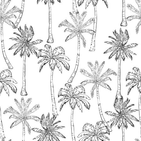 Seamless tropical palms pattern.の写真素材