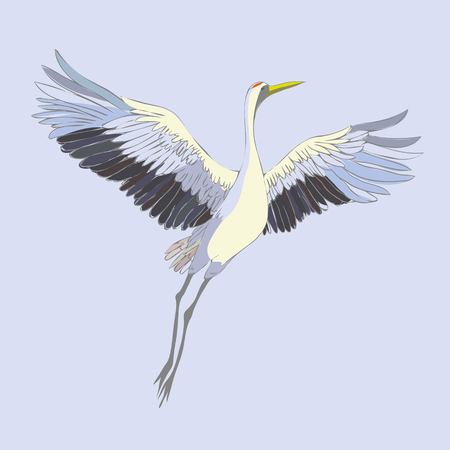 Vector of illustrations bird crane. White stork . isolated objectの写真素材