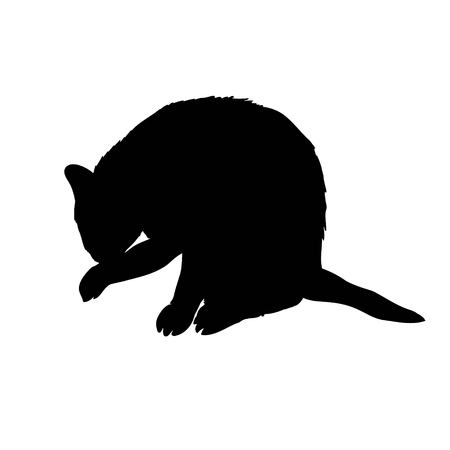 Black silhouette of cat sitting sideways isolated on white background. Vector illustration, icon, clip art.の写真素材