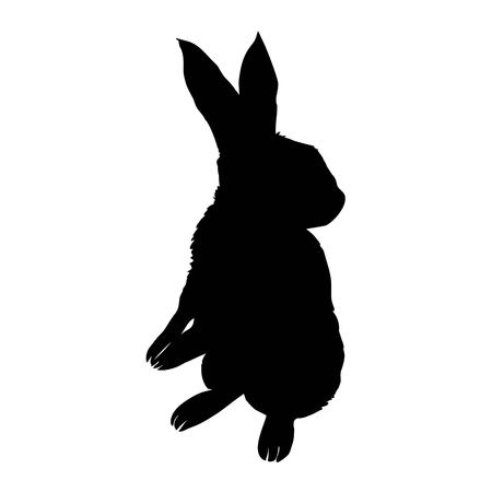 Bunny rodent black silhouette animal, animal, bunny, graphic, hare, icon, illustration, isolated nature pet rabbit silhouette symbol cute design easterの写真素材