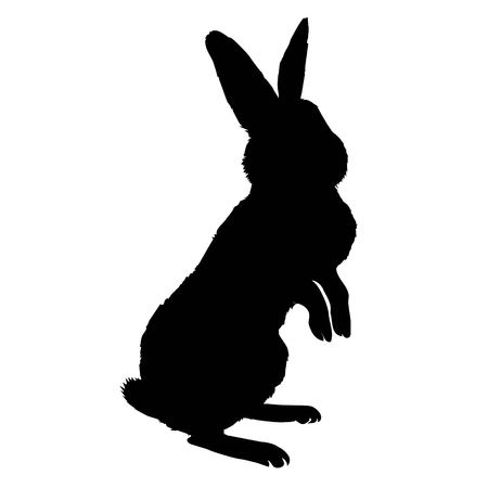 Bunny rodent black silhouette animal, animal, bunny, graphic, hare, icon, illustration, isolated nature pet rabbit silhouette symbol cute design easterの写真素材