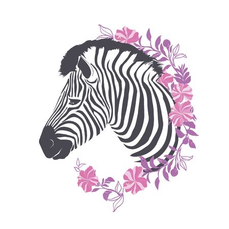 Zebra portrait . Vector illustration.のイラスト素材