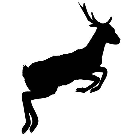 silhouette deer with great antler/animal/ vector illustrationのイラスト素材