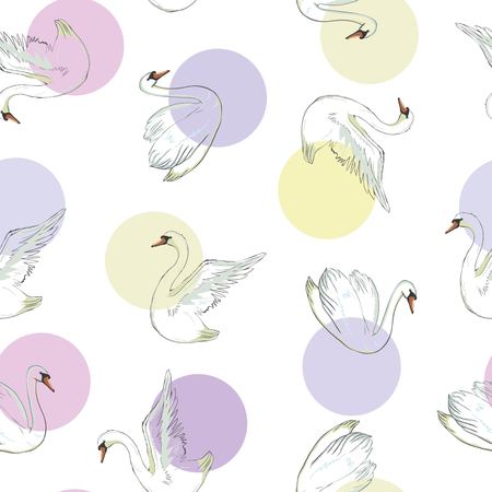 Seamless pattern with white swans. Vector illustration.の写真素材