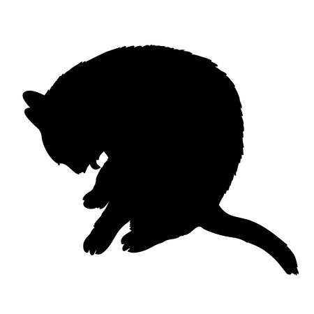 Black silhouette of cat sitting sideways isolated on white background. Vector illustration, icon, clip art.の写真素材