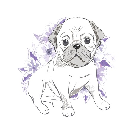 Puppy Pug , dog ,bulldog cute . Vector illustration.の写真素材