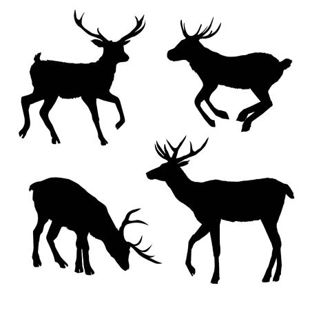 deer, silhouette vector head forest illustration, decoration, elegance, horned, object, shadow, buck doe big vintage cervus cute dappled engraving gracefulの写真素材