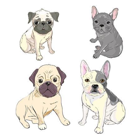 Funny puppies of french bulldog. Vector funny french bulldog, puppy cute, pet drawing sketch illustrationのイラスト素材