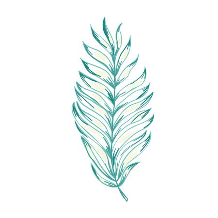 Set of palm leaves silhouettes isolated on white background.のイラスト素材