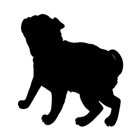 French Bulldog purebred dog standing in side view - vector silhouette isolatedの写真素材