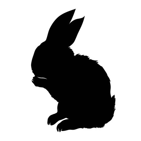 Silhouette rabbit, vector illustrationの写真素材