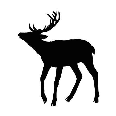 deer silhouette, vector, illustration animal black natureの写真素材