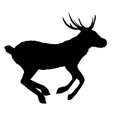 deer, silhouette vector head forest illustration, decoration, elegance, horned, object, shadow, buck doe big vintage cervus cute dappled engraving gracefulの写真素材