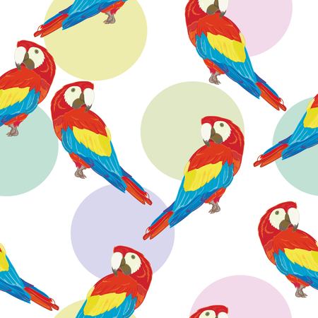 Vector seamless pattern with parrot.の写真素材