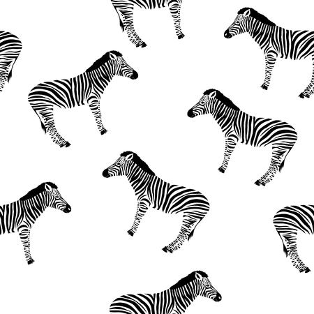 Sketch Seamless pattern with wild animal zebra print, silhouette on white background. Vector illustrations. Wild African animals.の写真素材