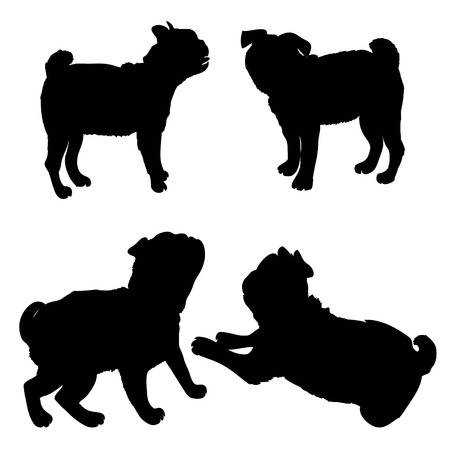 French Bulldog purebred dog standing in side view - vector silhouette isolatedの写真素材