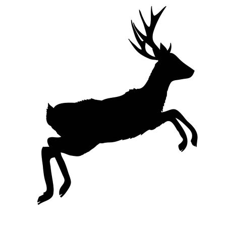 silhouette deer with great antler/animal/ vector illustrationの写真素材