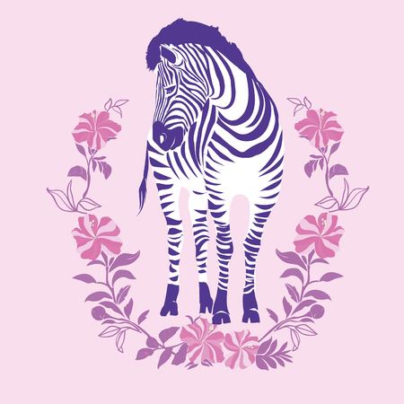 Zebra vectorの写真素材