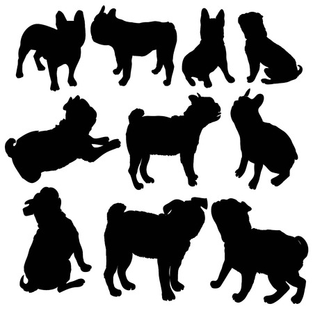 French Bulldog purebred dog standing in side view - vector silhouette isolatedの写真素材