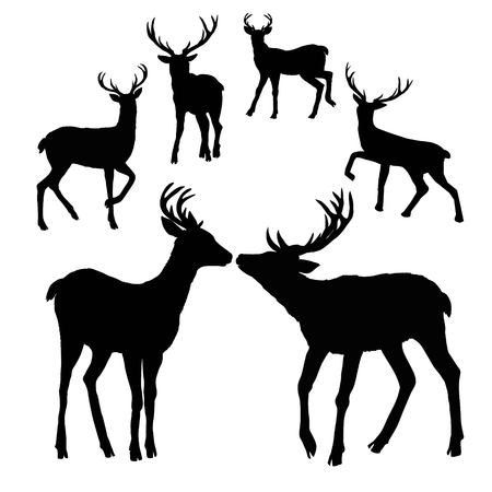 deer silhouette, vector, illustration animal black natureの写真素材