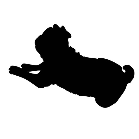 French Bulldog purebred dog standing in side view - vector silhouette isolatedの写真素材