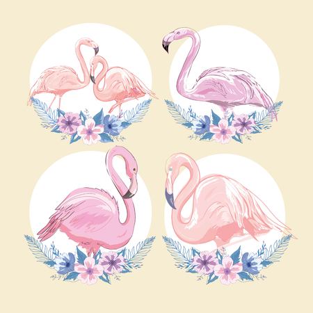Pink flamingo vector illustrationの写真素材