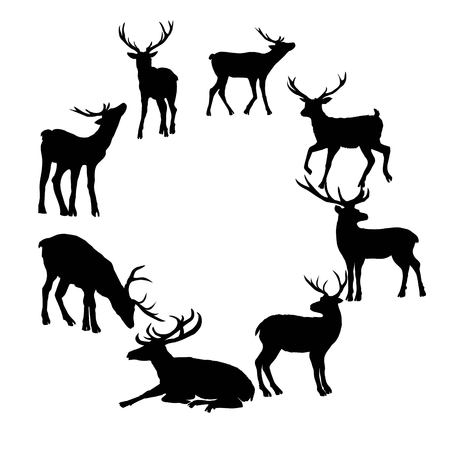 Deer silhouette isolated on white background. Vector, animal, deer, mammal, silhouette, vector, beautiful forest illustration isolated blackandwhite elk hornsの写真素材
