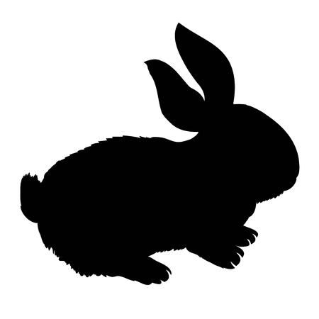 Silhouette rabbit, vector illustrationの写真素材