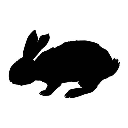 Silhouette rabbit, vector illustrationの写真素材