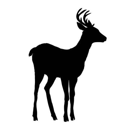 deer silhouette, vector, illustration animal black natureの写真素材