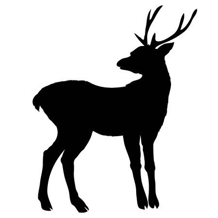 silhouette deer with great antler/animal/ vector illustrationの写真素材