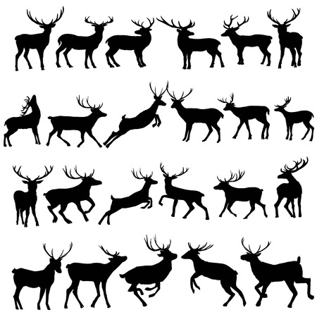 Deer silhouette isolated on white background. Vector, animal, deer, mammal, silhouette, vector, beautiful forest illustration isolated blackandwhite elk hornsの写真素材