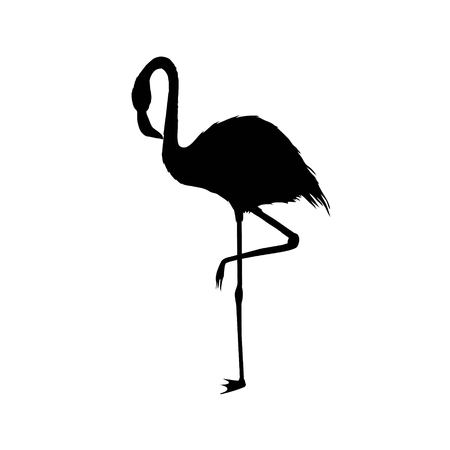 Flamingo silhouette , vector file of bird, illustrationのイラスト素材