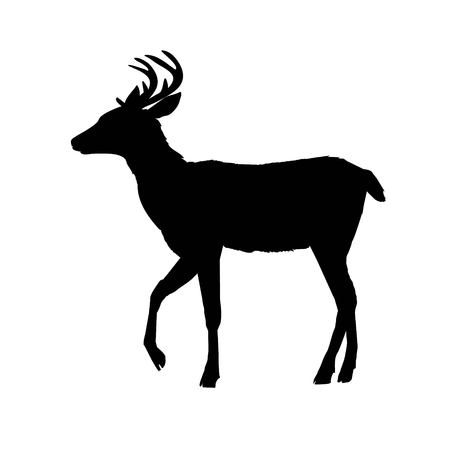 deer silhouette, vector, illustration, animal, black, natureのイラスト素材
