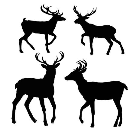 deer silhouette, vector, illustration, animal, black, nature