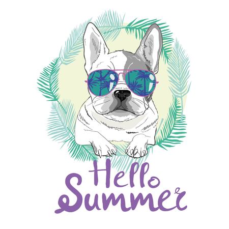 Puppy Pug , dog ,bulldog cute Vector illustrationのイラスト素材