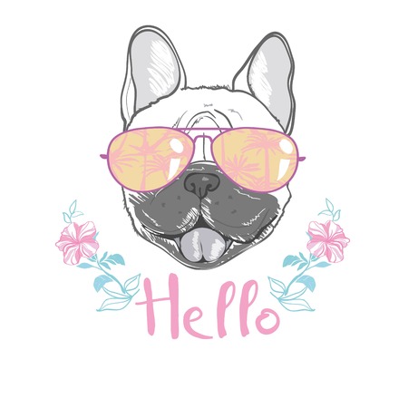 Puppy Pug , dog ,bulldog cute Vector illustrationのイラスト素材