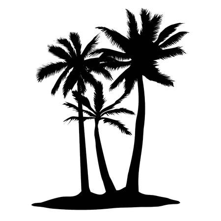 Vector palm tree silhouette icons on white backgroundの写真素材
