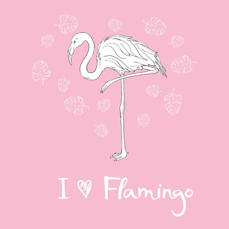 Pink flamingo vector illustration isolated on white background.のイラスト素材