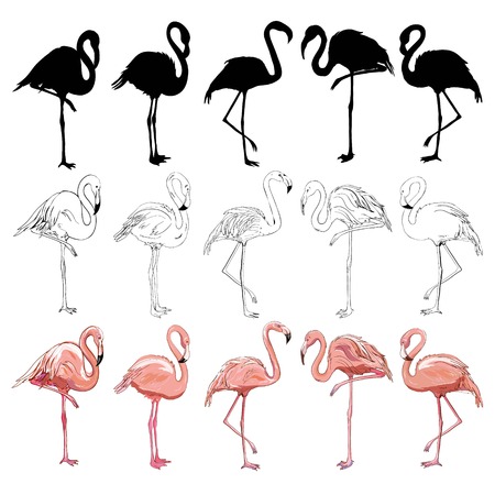 Pink flamingo silhouette, illustration, bird set vectorのイラスト素材