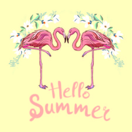 Pink flamingo, vector, illustration bird design print tropicalのイラスト素材