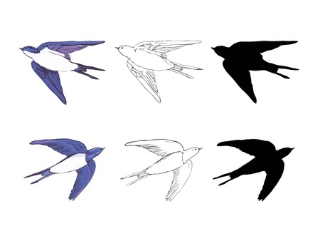 set of the swallow icons. Design elements for poster, t-shirt. Vector illustration.のイラスト素材