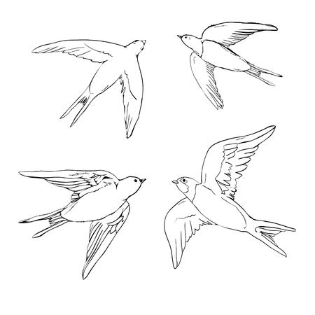set of the swallow icons. Design elements for poster, t-shirt. Vector illustration.のイラスト素材