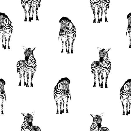Zebra pattern, illustration, animal.のイラスト素材