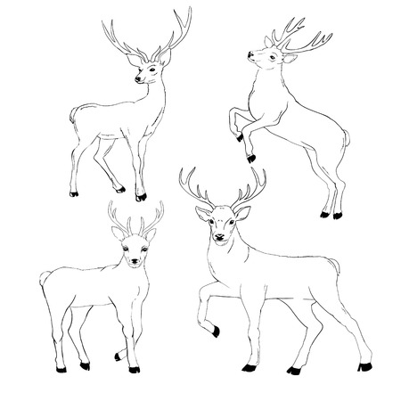 deer silhouette and sketch, vector, illustration, animals, set on white background, animals imageのイラスト素材