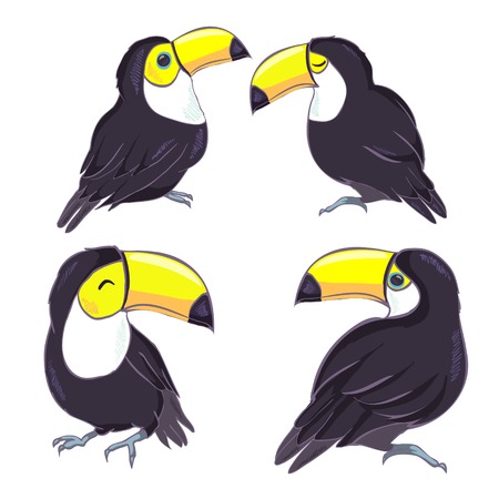 A good illustration of a Toucan in vector format. Cute Toucan bird picture for children's clothing.のイラスト素材