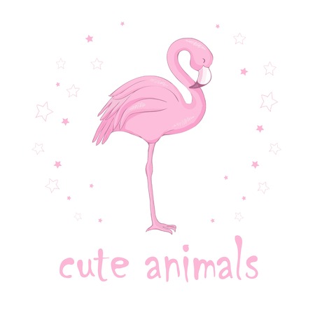 Flamingo bird illustration design on backgroundのイラスト素材