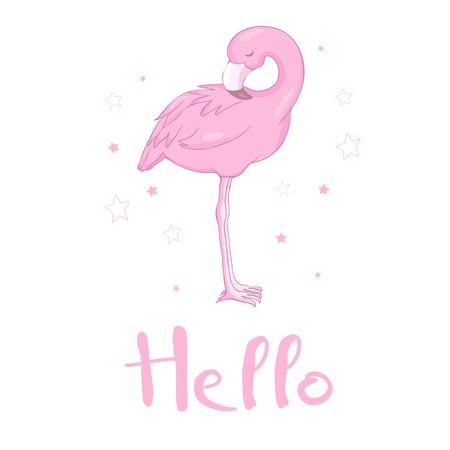 Flamingo bird illustration design on backgroundのイラスト素材